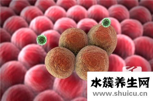巨細胞病毒igg抗體