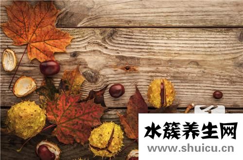 板栗薯