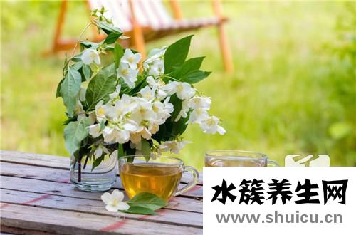 茉莉花的功效與作用