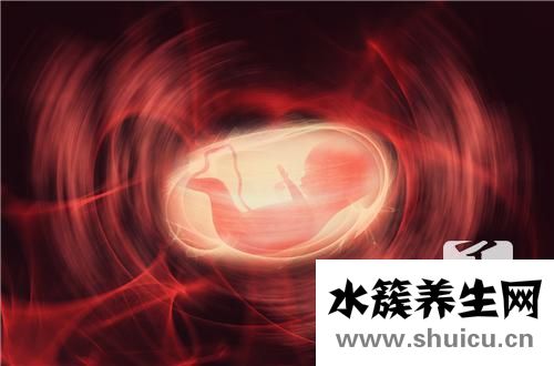 胎兒心臟彩超