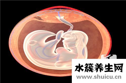 胎盤前壁和后壁的區別