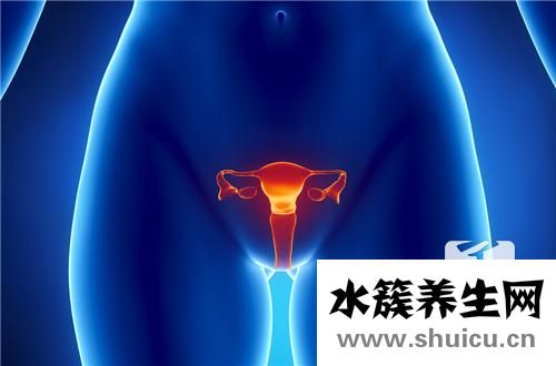 宮腹腔鏡手術