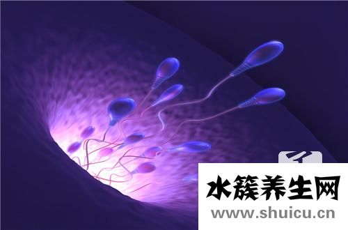 輸卵管造影檢查步驟