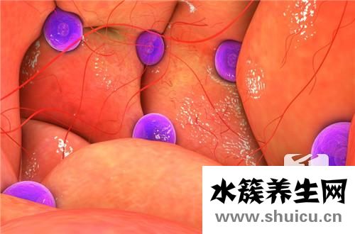 子宮壁厚