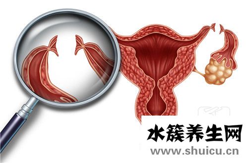 卵巢功能衰退怎么調理