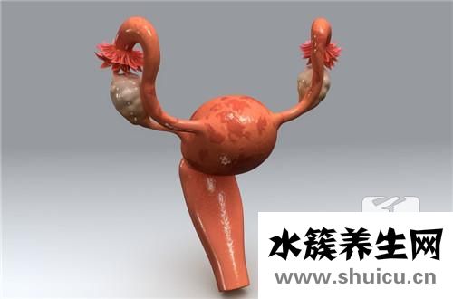 宮頸浸潤癌