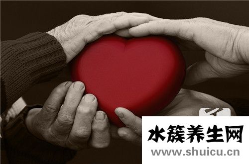 心臟聽診區