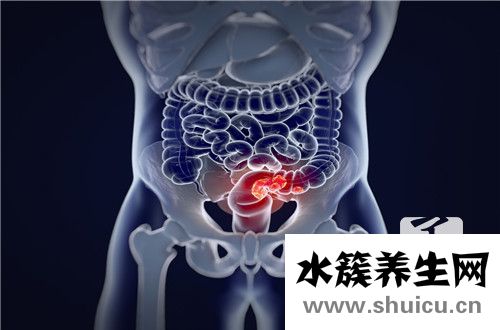腸道功能紊亂的癥狀