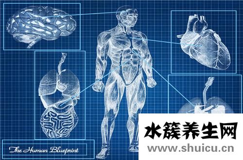 電子結腸鏡
