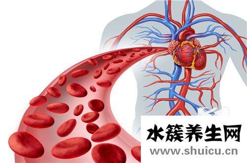 主動脈鈣化是什么意思
