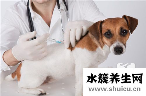 狂犬病的主要表現