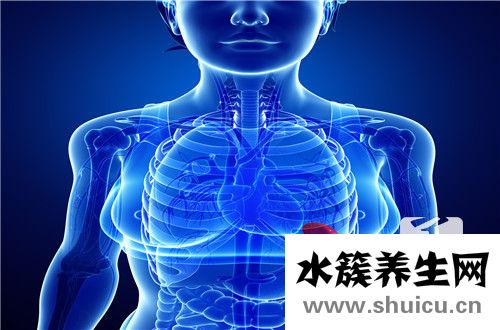 脾胃氣虛