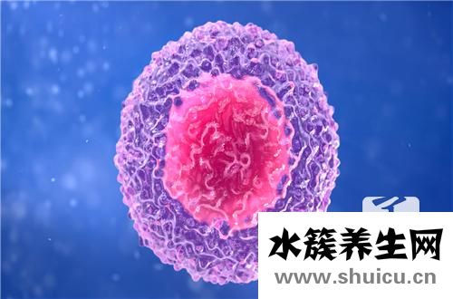 白細胞偏高是什么意思