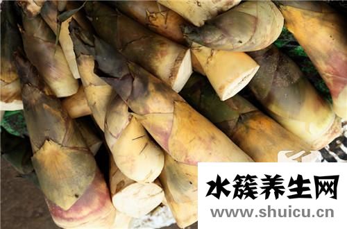 干竹筍怎么泡發