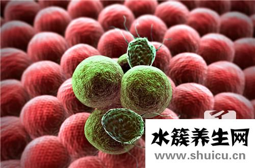 結腸管狀腺瘤