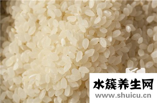 米飯熱量