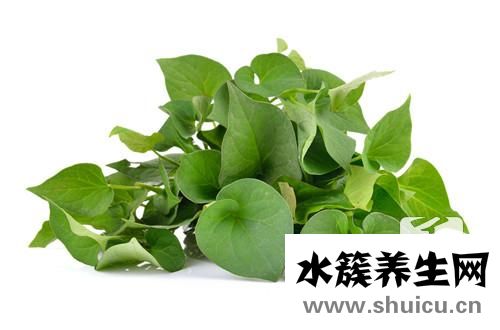 魚腥草功效
