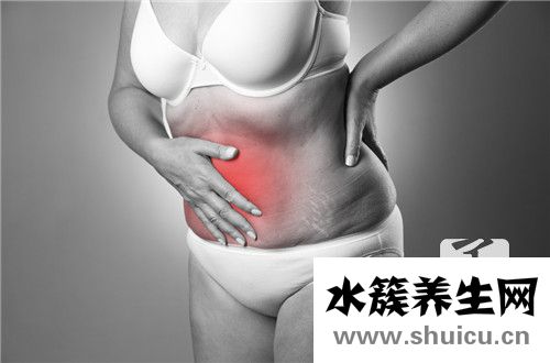 肚子左邊是什么器官