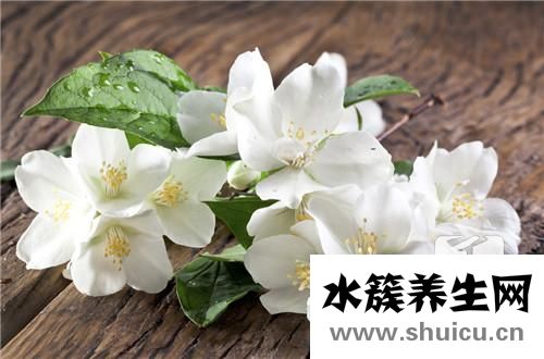 扶?；ǖ酿B殖方法和注意事項