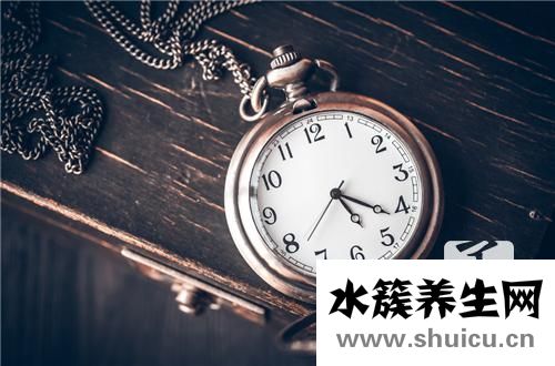 手表皮帶