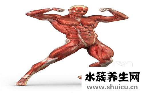 胳膊抬不起來