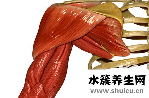 胳膊抬不起來