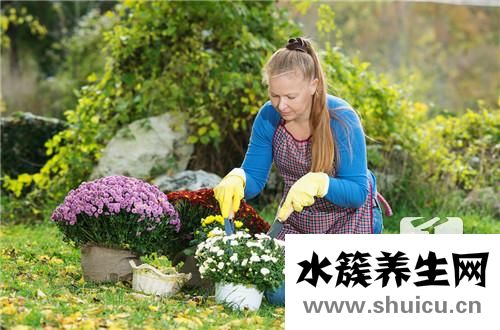 鮮花保存
