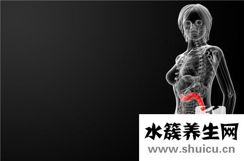 大腸埃希菌