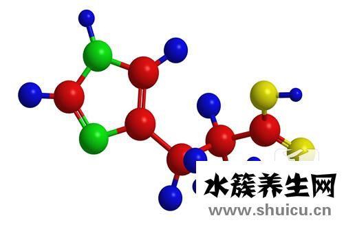 支鏈氨基酸