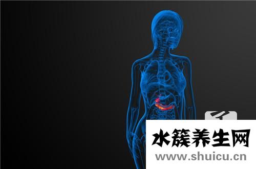 膽囊位置
