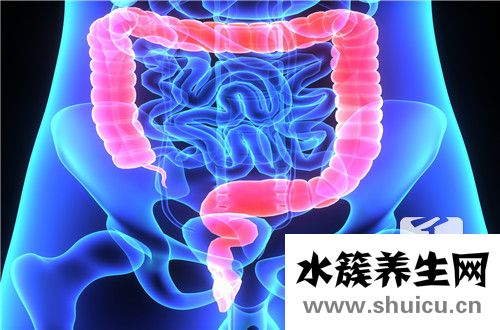 腸鏡檢查前注意事項