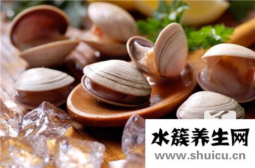 扇貝丁