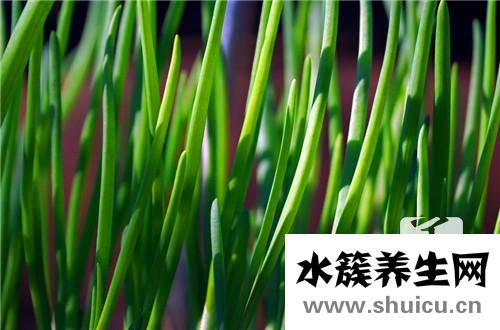 綠色蔬菜有哪些