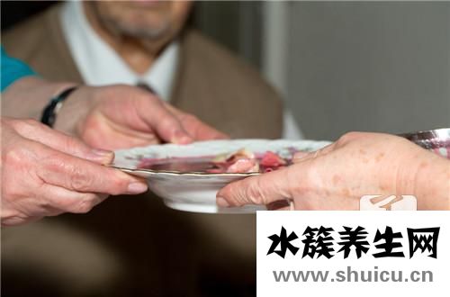燉鴿子