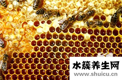 紫云英蜂蜜