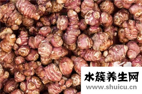 小黃姜