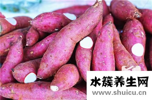 板栗紅薯