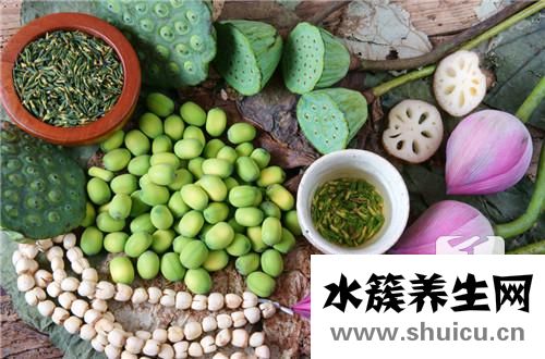 新鮮蓮子