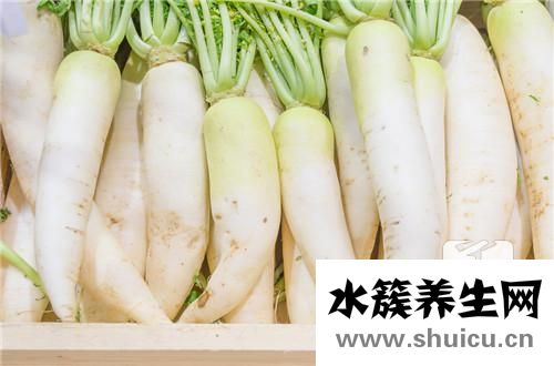 酸蘿卜