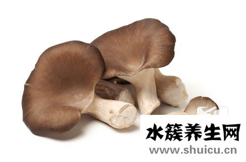 香菇肉醬