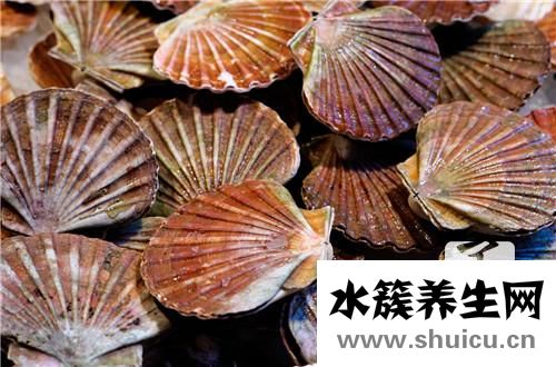 法國菜譜大全