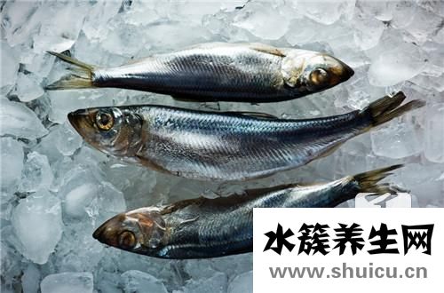 小銀魚