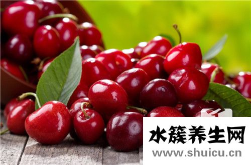 櫻桃蘿卜