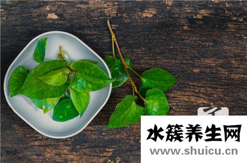 涼拌魚腥草