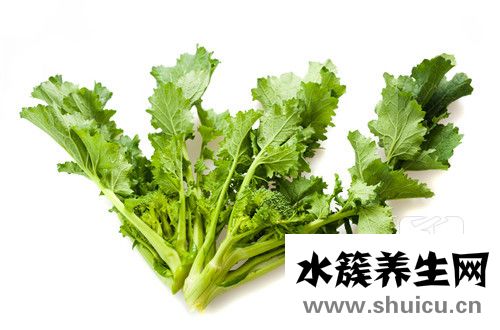 藍芩
