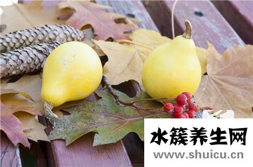 甲殼