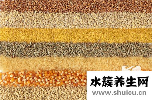 五谷豆漿食譜