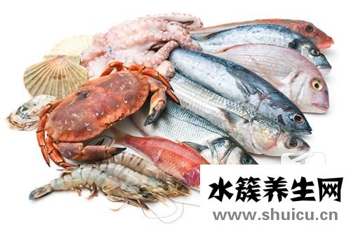 海參多少一個