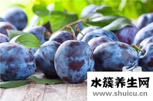 李子的營養價值