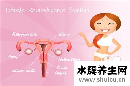 輸卵管堵塞的治療